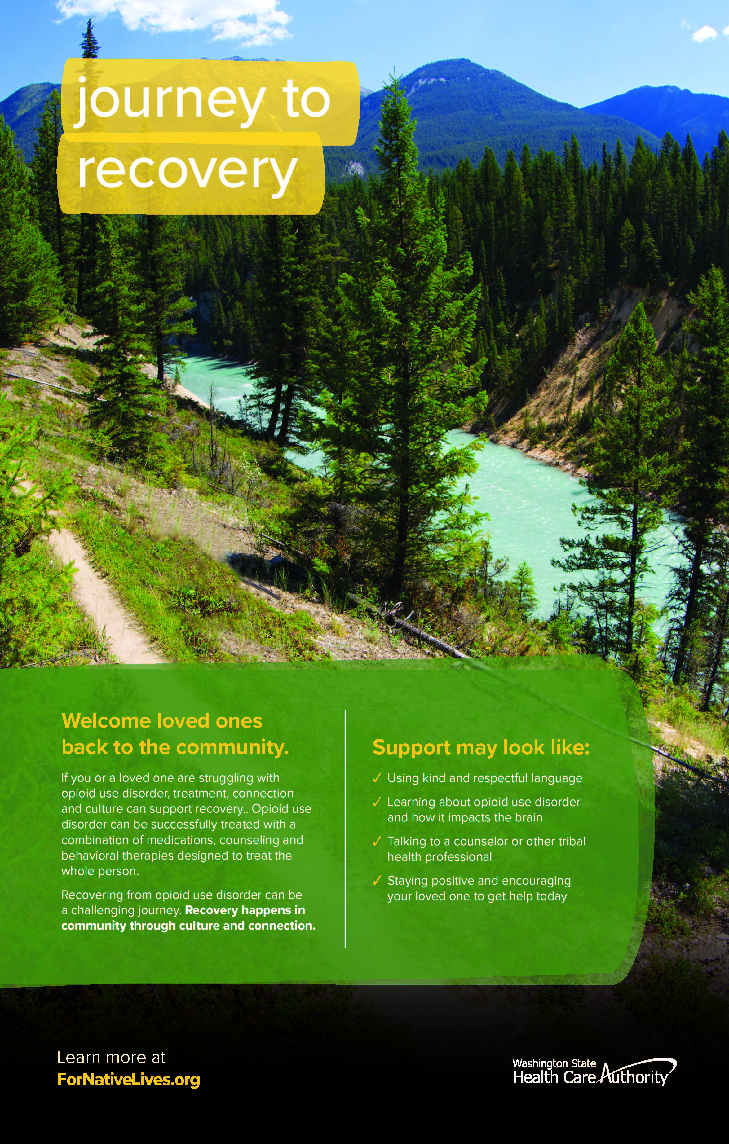 Treatment Poster - Journey to Recovery 2